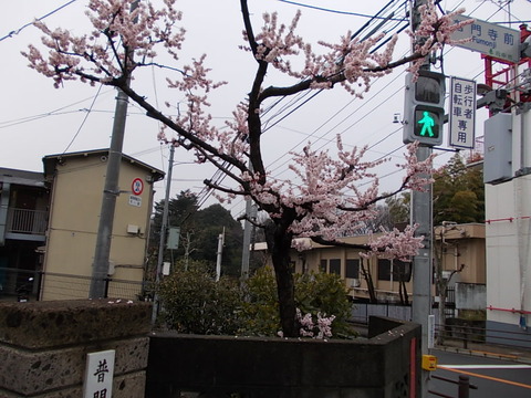 DSCN1474