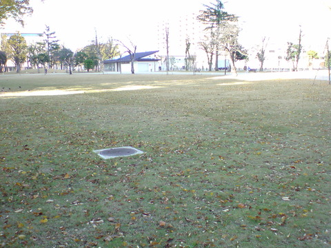 DSC00291