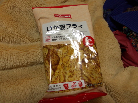 DSCN1305