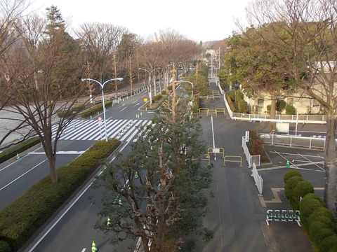 DSCN2156