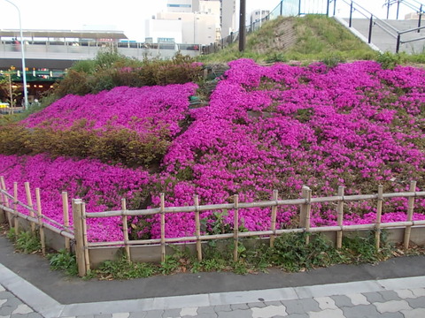 DSCN2325
