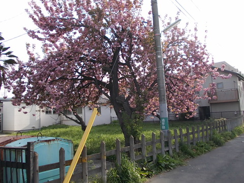 DSCN2340