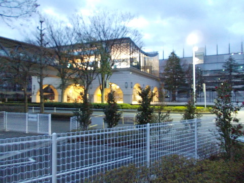 DSCN1291