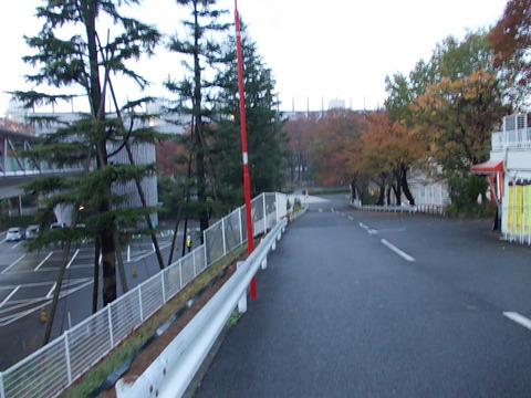 DSCN1105