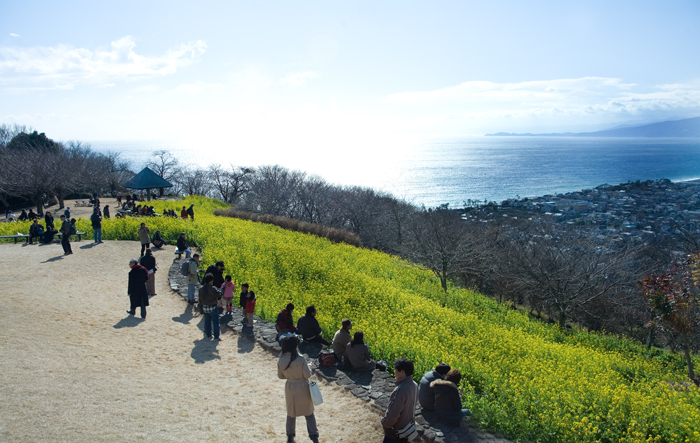 吾妻山