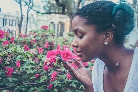 flower-731300_640