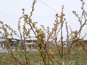 DSCN0143