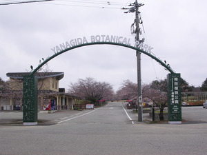 DSCN0111