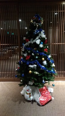 IMG_20181119_181537