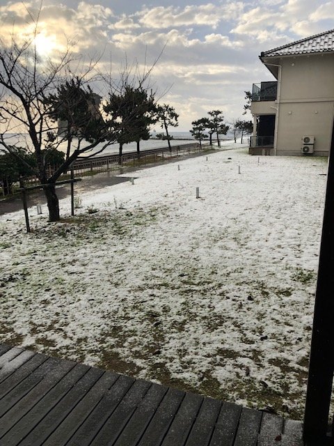 初雪