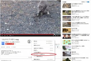 ソースの表示