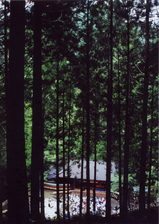 a9318323.jpg