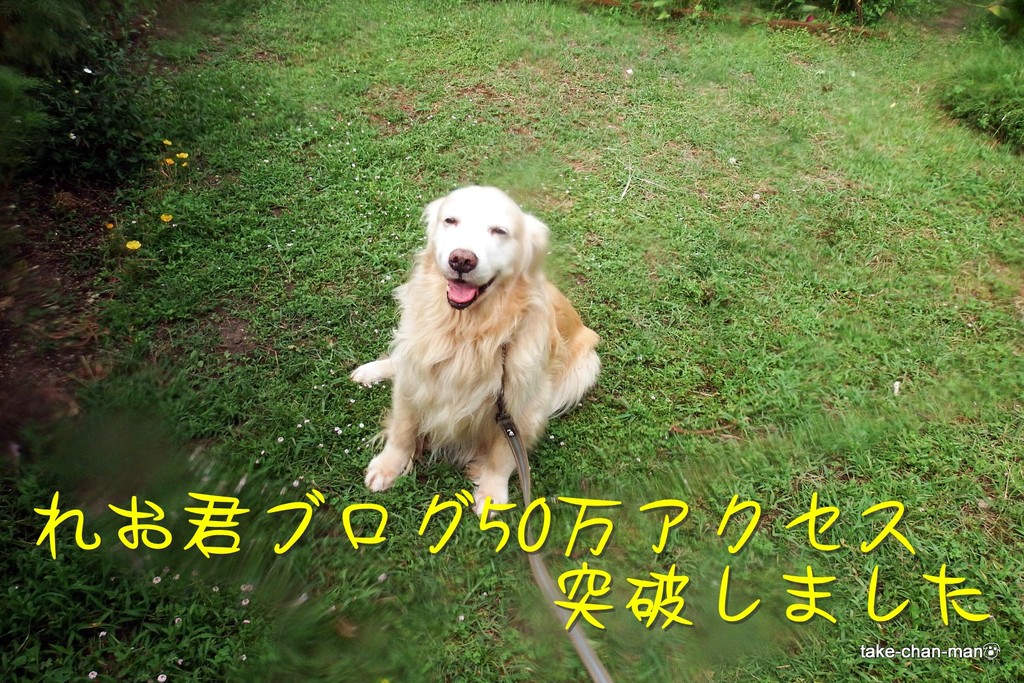 DSCF8526-001