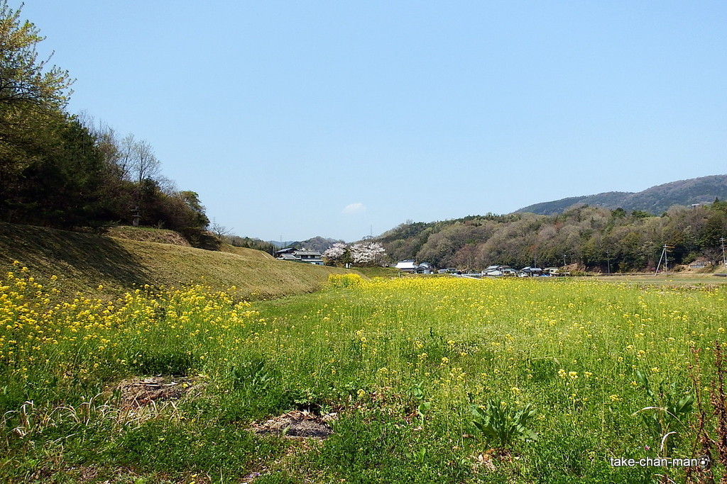 DSCF3082