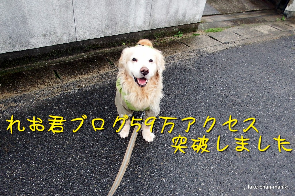 DSCF8328