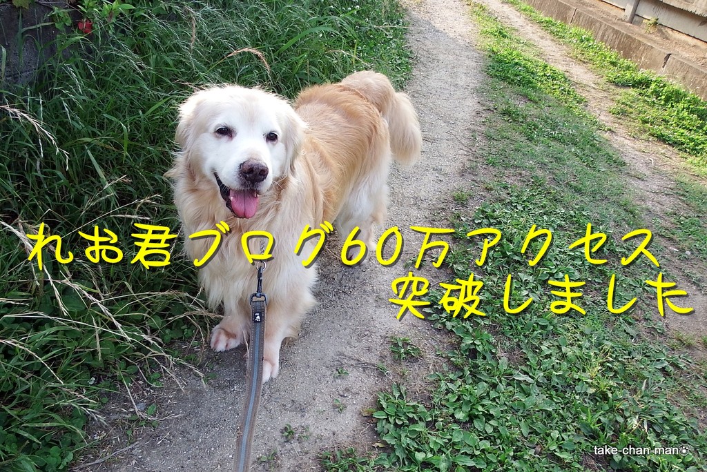 DSCF9679