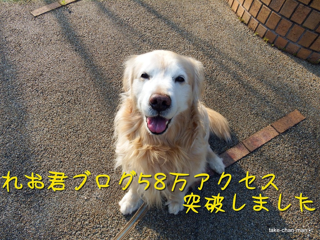 DSCF6557