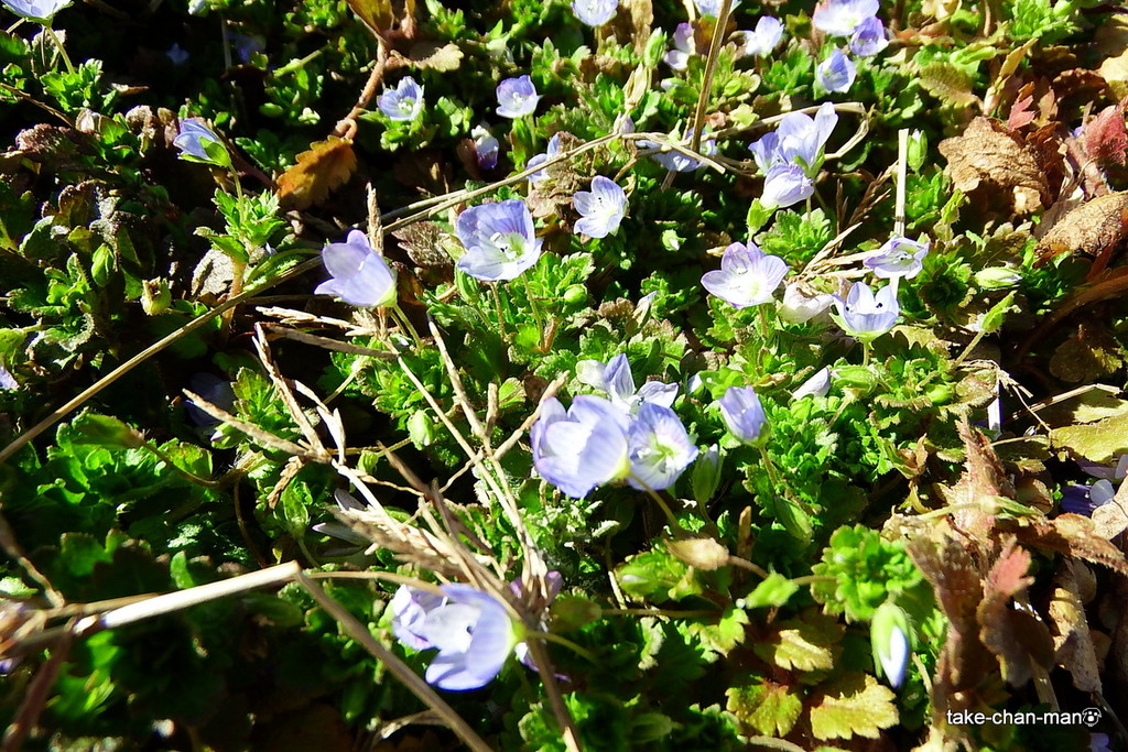 DSCF8957