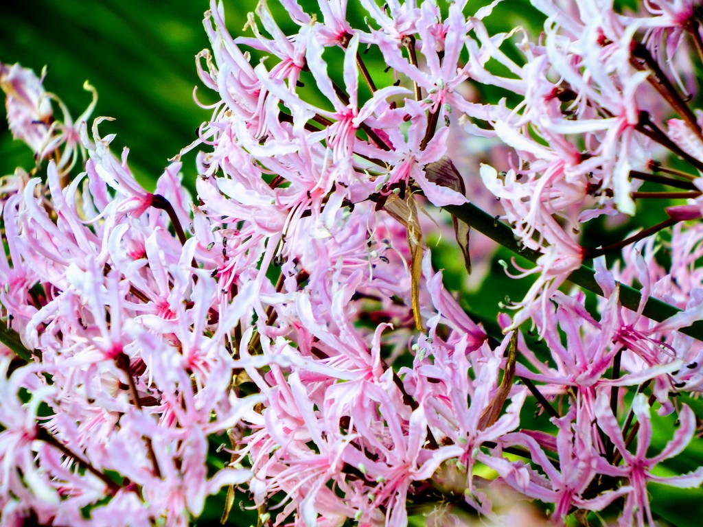 DSCF1673