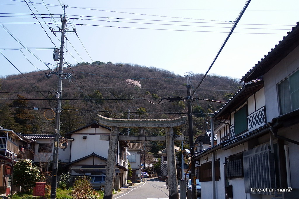 DSCF2067