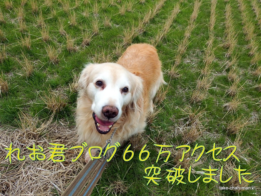 DSCF5202
