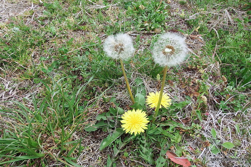 DSCF2388