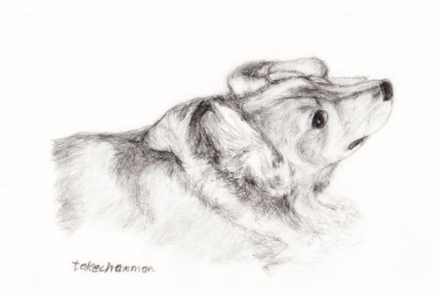 img007-001
