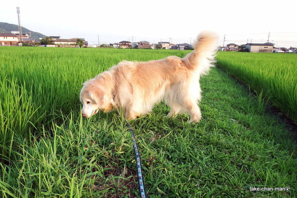 DSCF0632