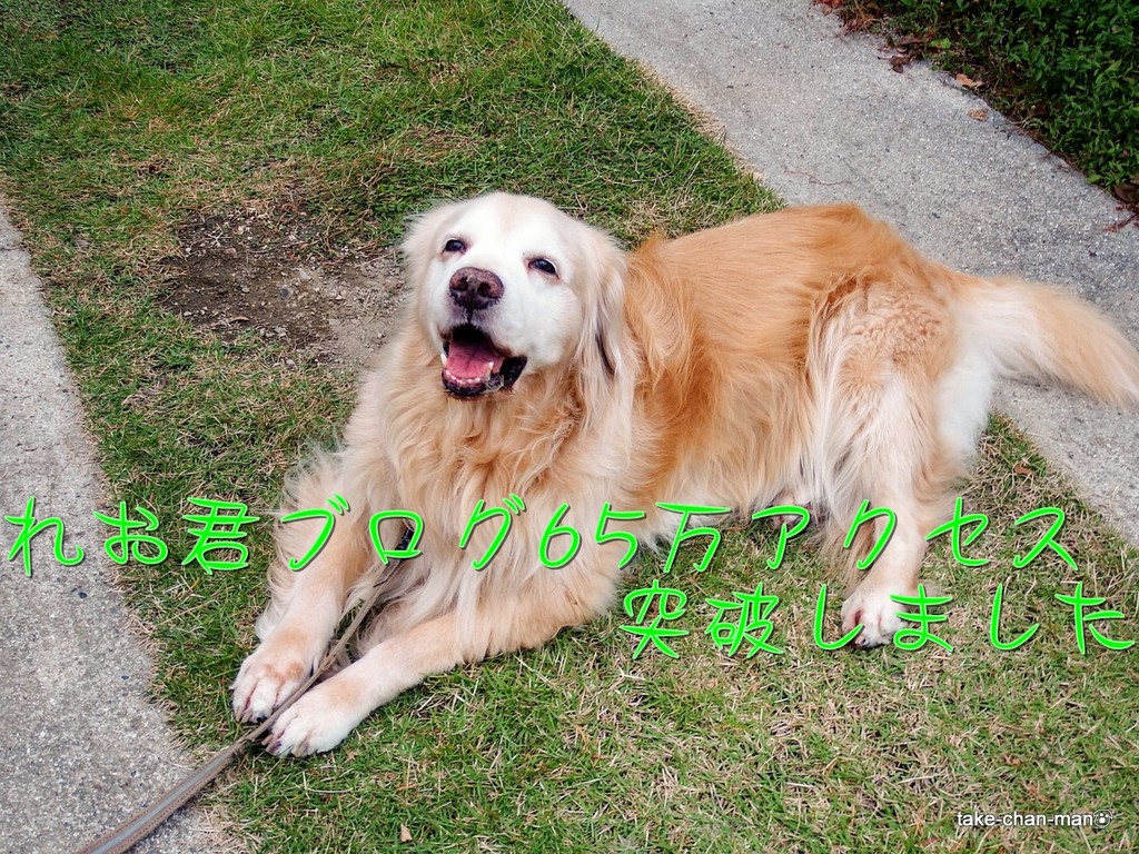 DSCF4027