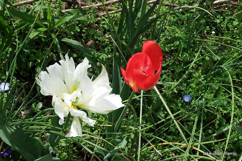 DSCF3220