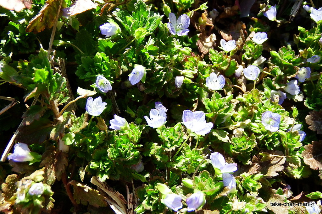 DSCF8953