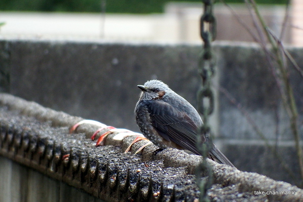 DSCF0362