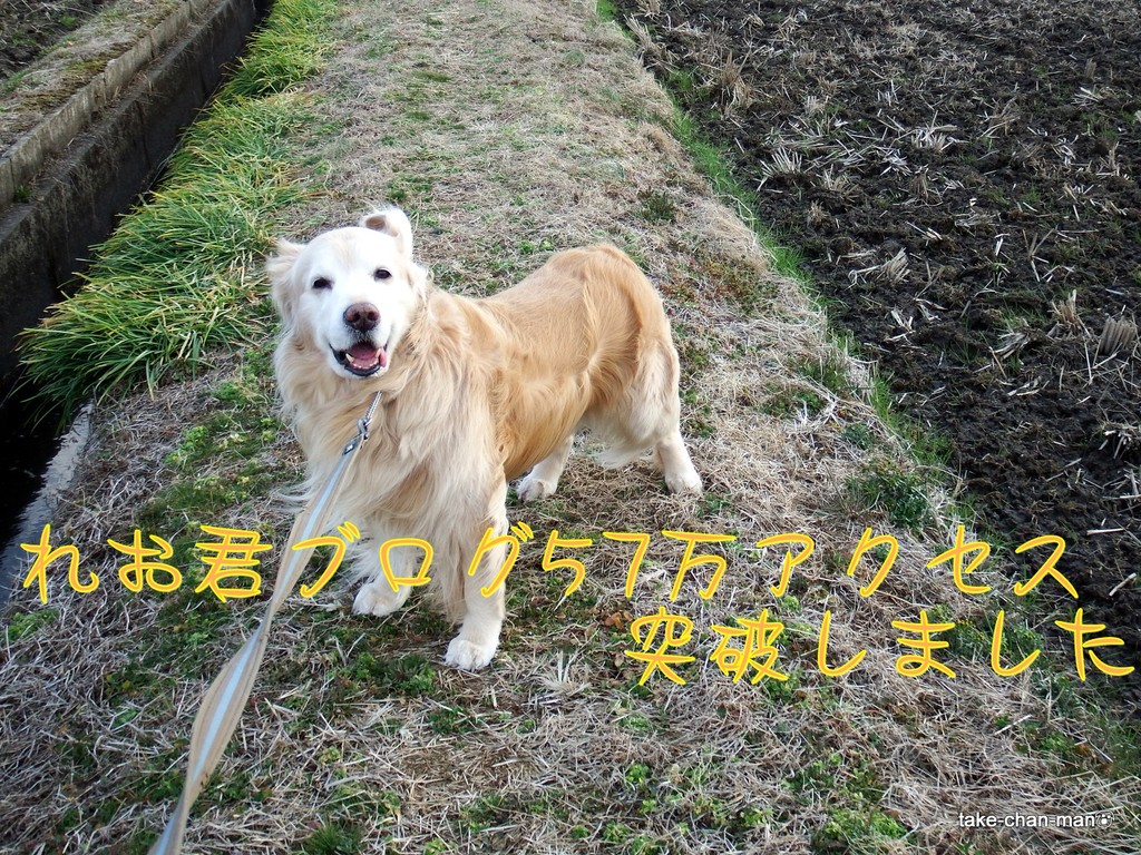 DSCF3579