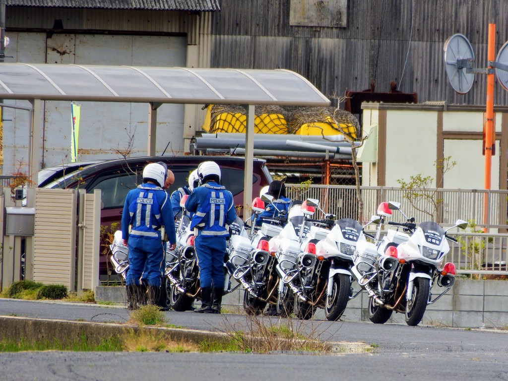 DSCF6743 (1)