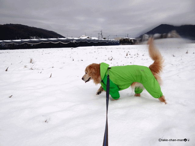 20140208雪4