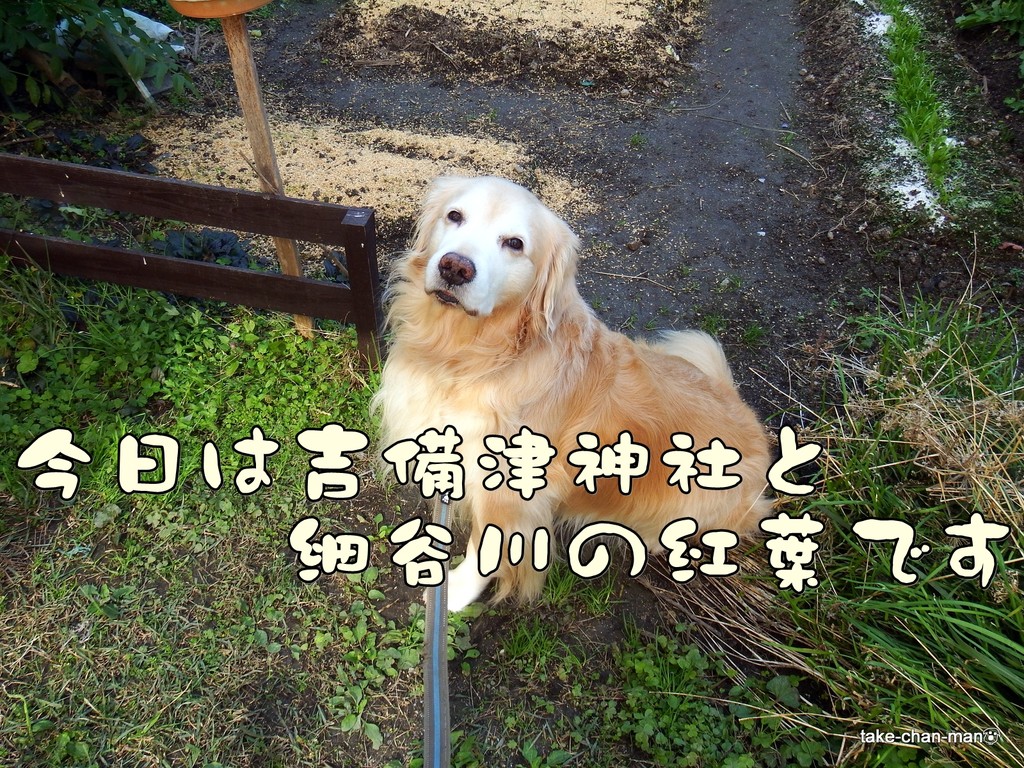 DSCF0796