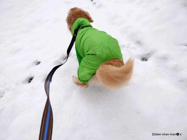 20140208雪2