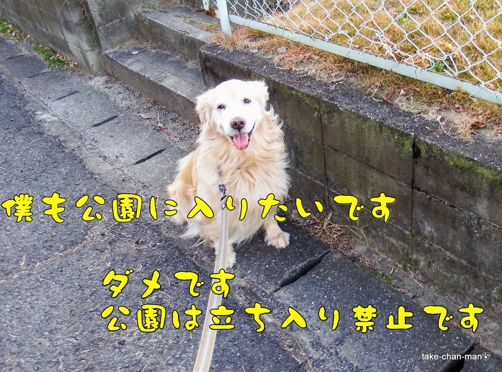 DSCF1316-001