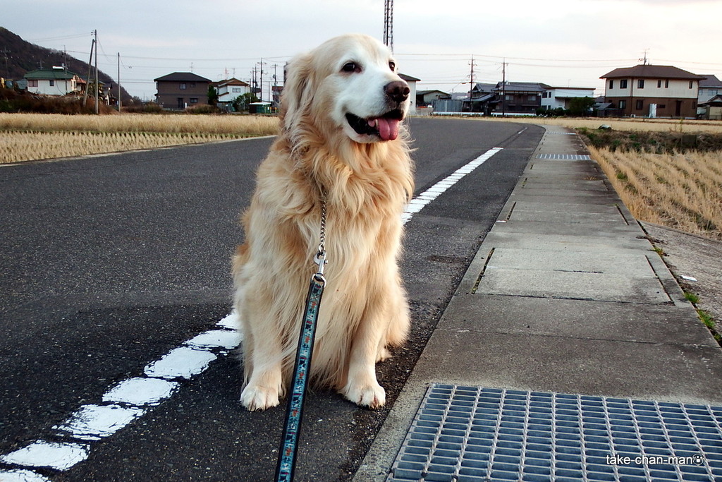 DSCF6171-001