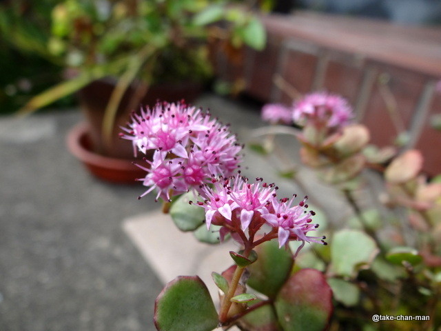 DSC04200