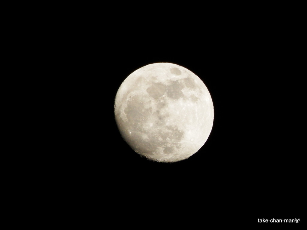 DSCF1619
