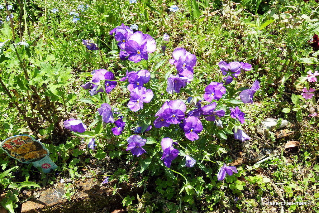DSCF7962