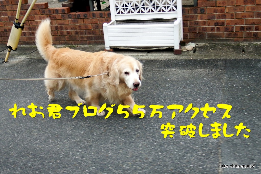 DSCF0461-001