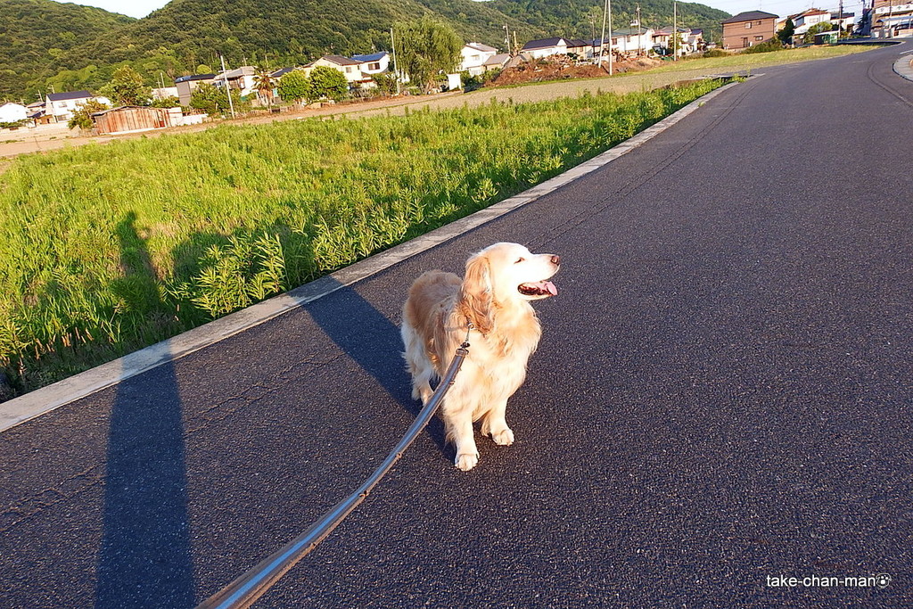 DSCF6296