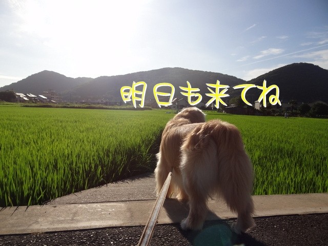 DSC09505