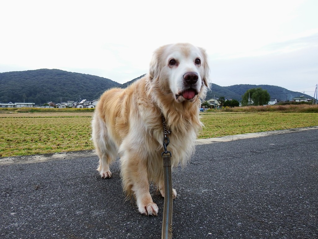 DSCF4273