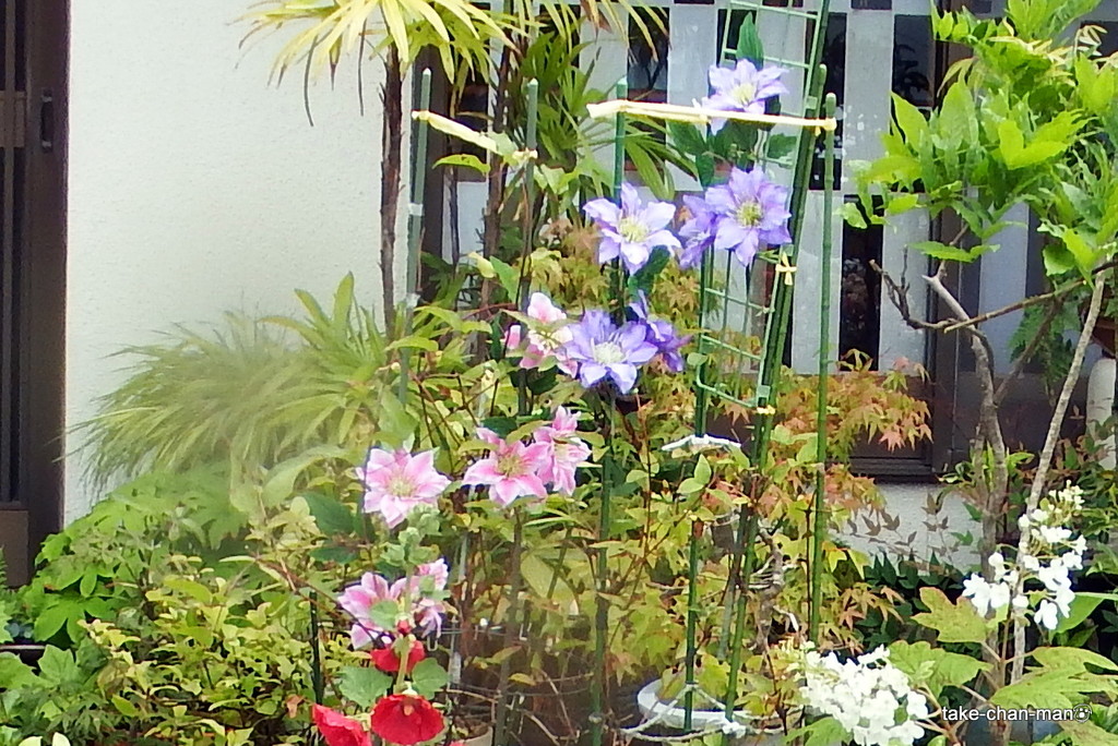 DSCF9071