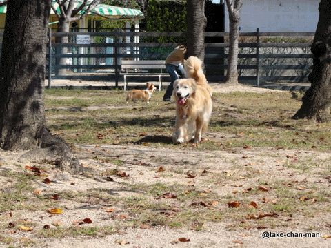 320131014バラ園