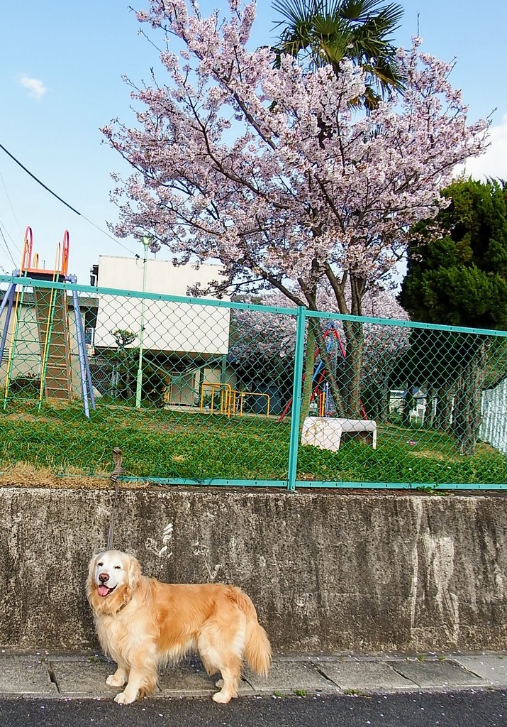 DSCF2893