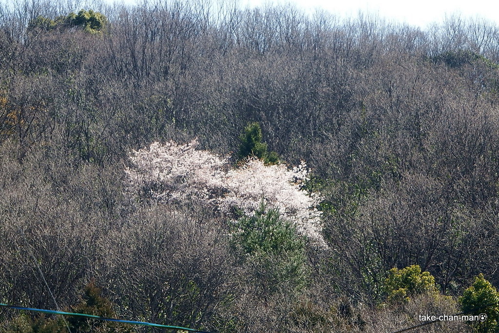 DSCF2068